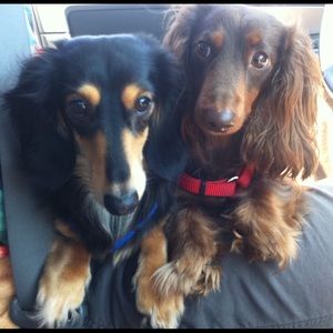 Meet your Posher, Heather